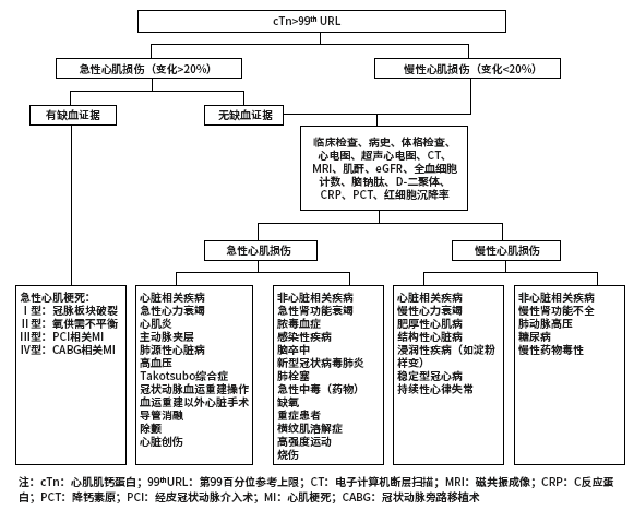 心肌损伤的诊断标准