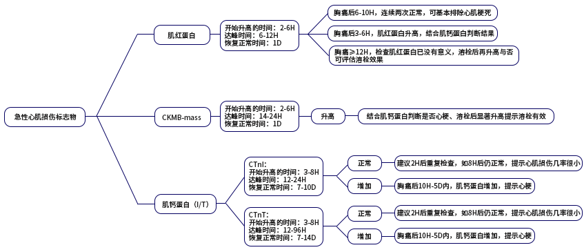 ACS后心肌标志物的变化如何