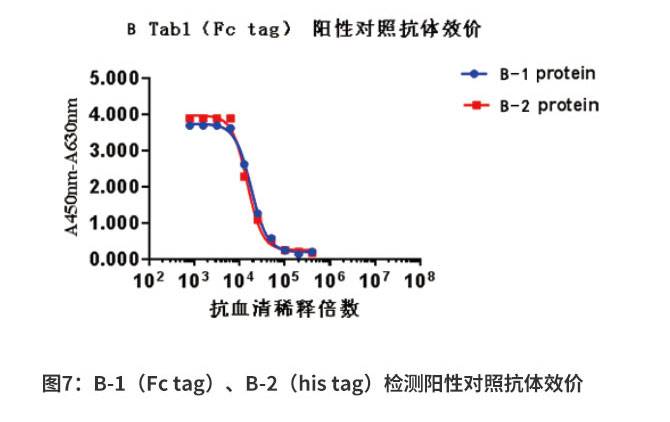B-1（Fc tag）、B-2（his tag）抗原阳性对照抗体效价检测结果