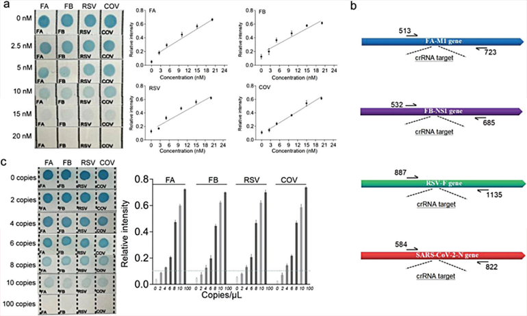 CRISPR-RDB检测灵敏度图